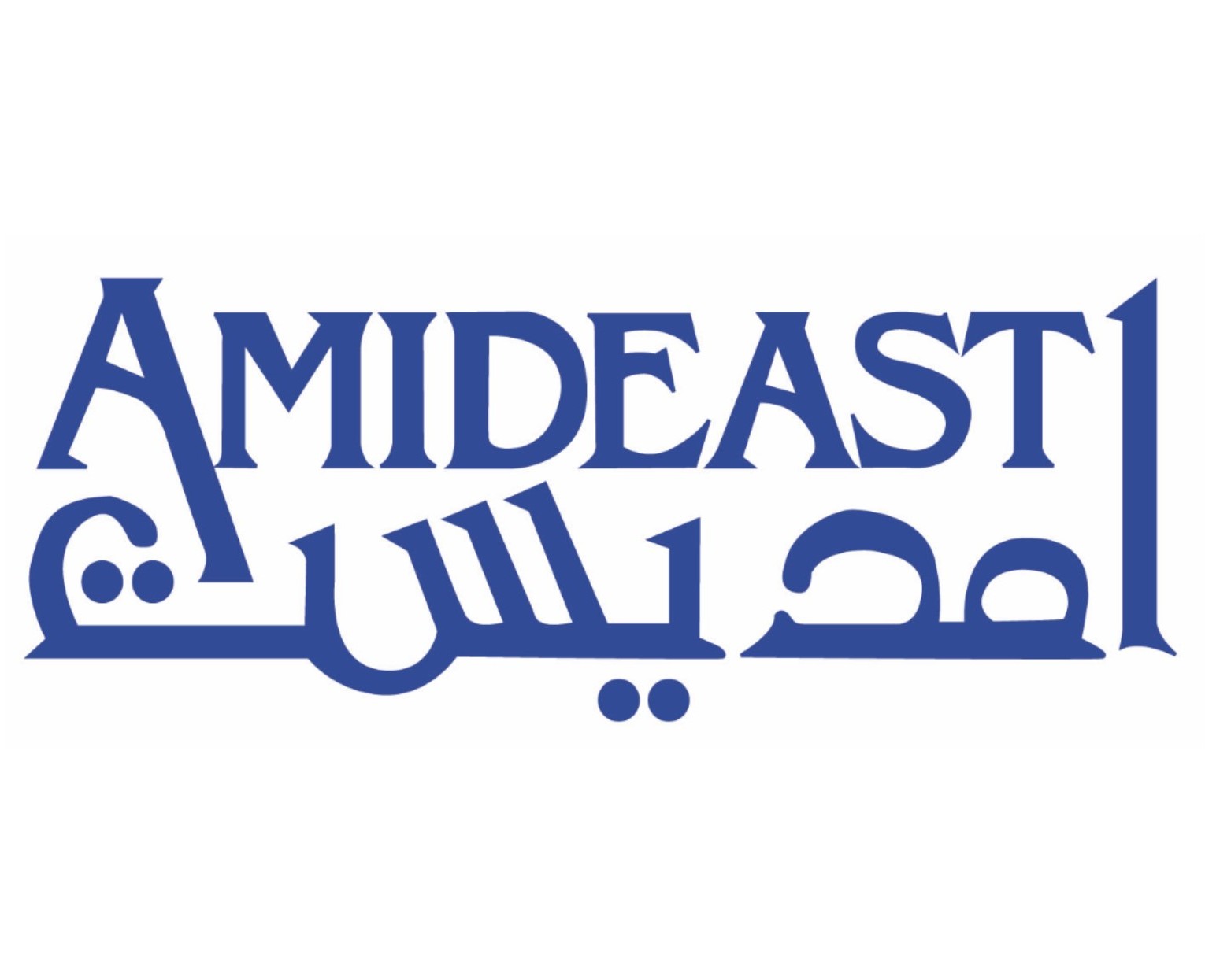 Our Client: Amideast Logo